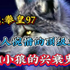 講述：拳皇97令人惋惜的頂級主播（小狼的興衰史）