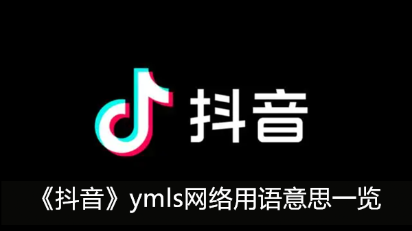 ymls什麽意思