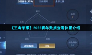 《王者榮耀》2022賽年數據查看位置介紹