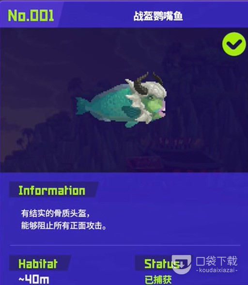 潛水員戴夫戰盔鹦嘴魚在哪