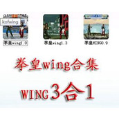 街機拳皇wing合集中文版