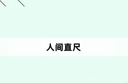 人間直尺是什麽意思-人間直尺網絡用語介紹