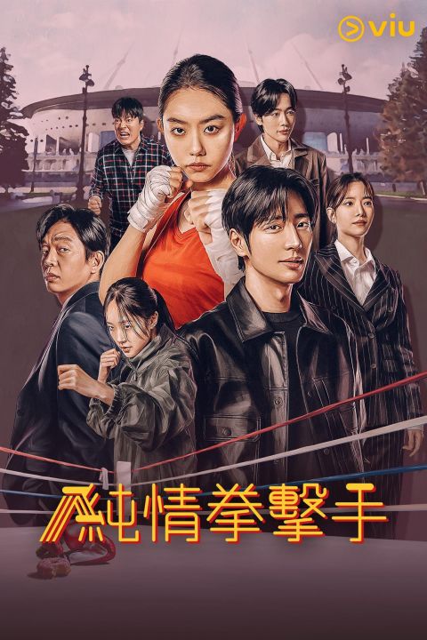 《純情拳擊手》韓劇全集免費觀看地址