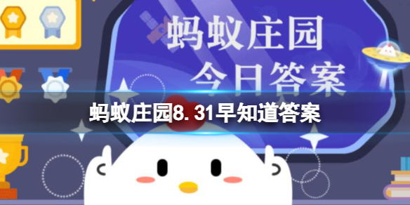 廚房小常識洗碗用的海綿如何清潔能有效殺菌螞蟻莊園8.31早知道答案