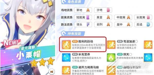 閃耀優俊少女3星自選哪個好