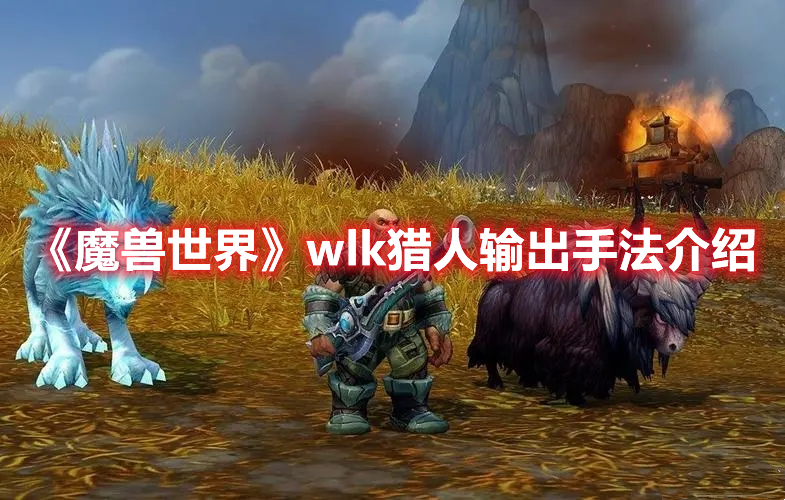 《魔獸世界》wlk獵人輸出手法介紹