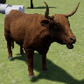 高地牛模擬器（HighlandCattleSim）最新版