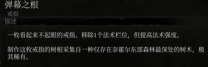 《墮落之主》彈幕之根介紹