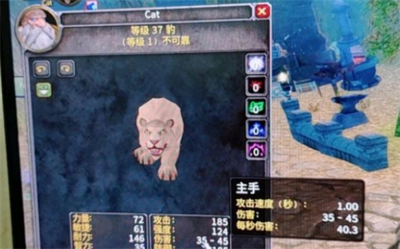 《魔獸世界》烏龜服斷牙優勢介紹