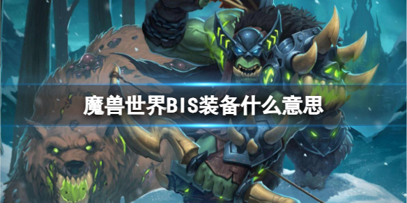 《魔獸世界》BIS裝備意思介紹