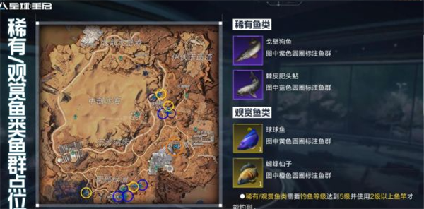 《星球重啓》觀賞魚怎麽獲得