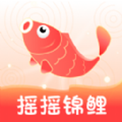 搖搖錦鯉app