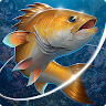 Fishing Hook Mod Apk [Unlimited money] 2.4.9