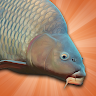 Carp Fishing Simulator Pike, Perch More Mod Apk [Unlimited money] 2.2.5