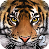 Ultimate Tiger Simulator 2 Mod Apk [Unlimited money] 1