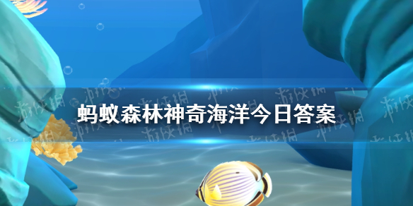 烏賊有海中火箭之稱號嗎 神奇海洋今日答案3.5最新