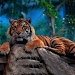 The Tiger Mod Apk [Unlimited money] 1.1.3