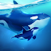 World of Water Mod Apk [Speed Hack] 4.1.1