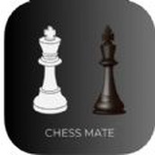 ChessMateBeginner＇sBattle軟件安卓版免費v1.0