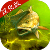 我的釣魚世界安卓免廣告版v1.9.81