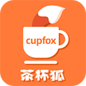 茶杯狐Cupfox