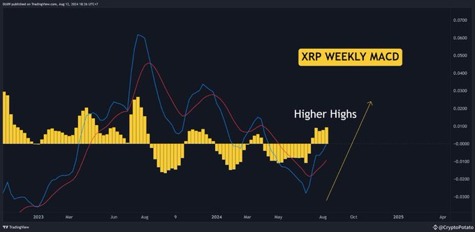 XRP signals strong bullish momentum targeting $60, according to analyst