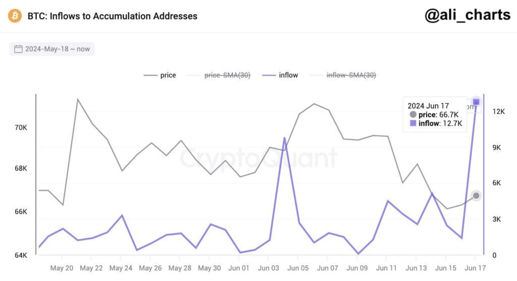 Bitcoin investors accumulate as price crashes; highest inflow ever