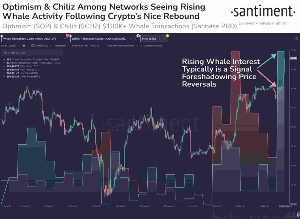 Monster whale activity to watch for these 2 cryptocurrencies