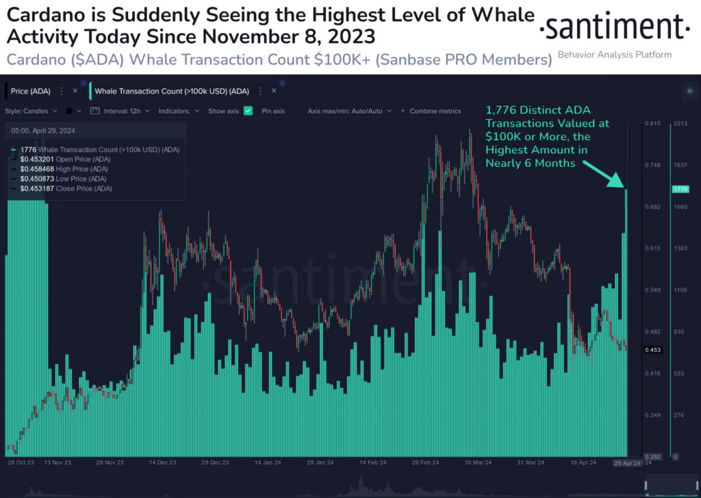 Cardano price prediction after whale activity explodes