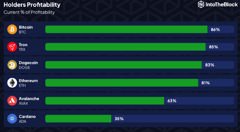 Opportunity or warning sign? Only 35% of Cardano holders in profit