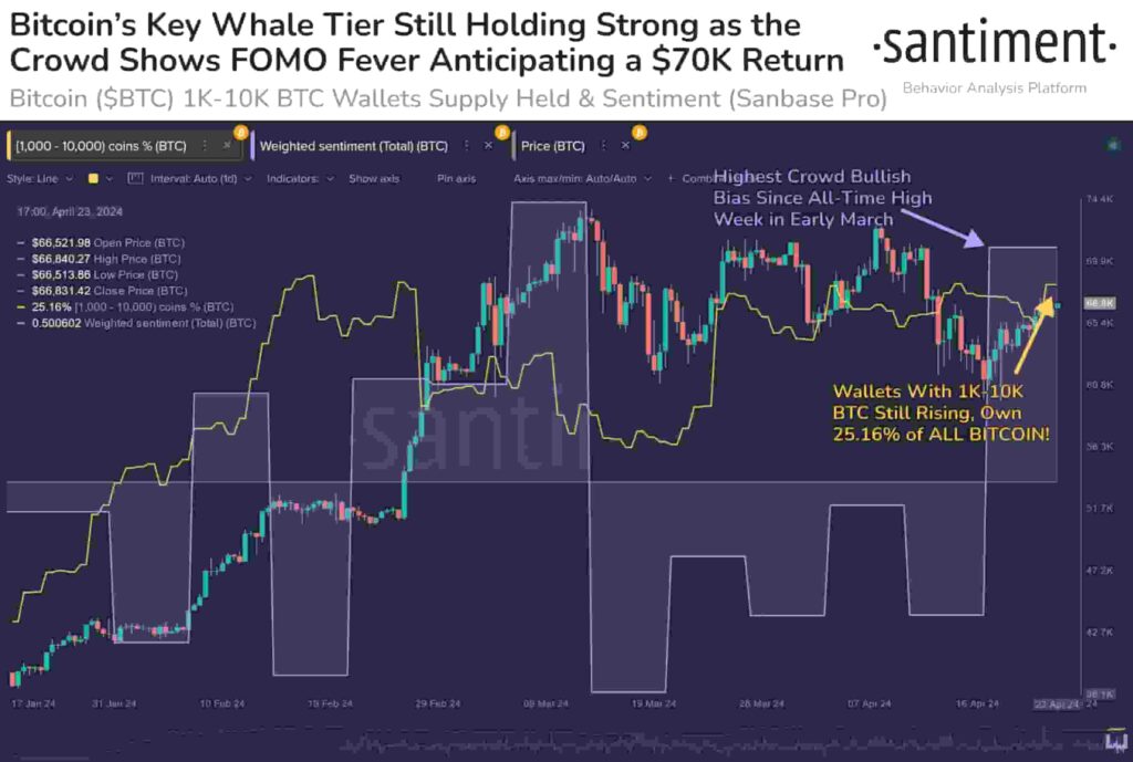 Bitcoin aims $70,000 this week as FOMO takes over the crowd