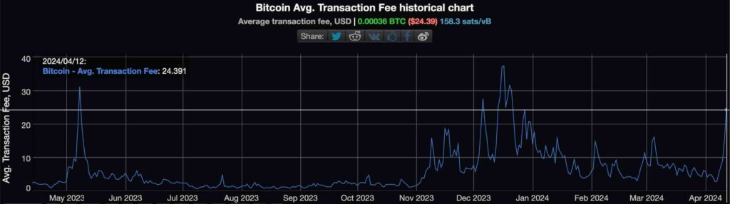 Price of freedom? Bitcoin users pay a world's average working day in fees