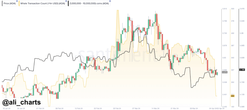 BitBoy Crypto declares Cardano dead; ADA founder responds with class