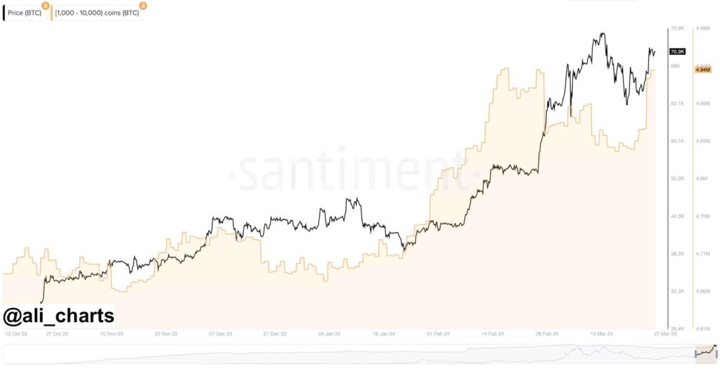 Bitcoin price prediction as whales bag $7 billion BTC in a week