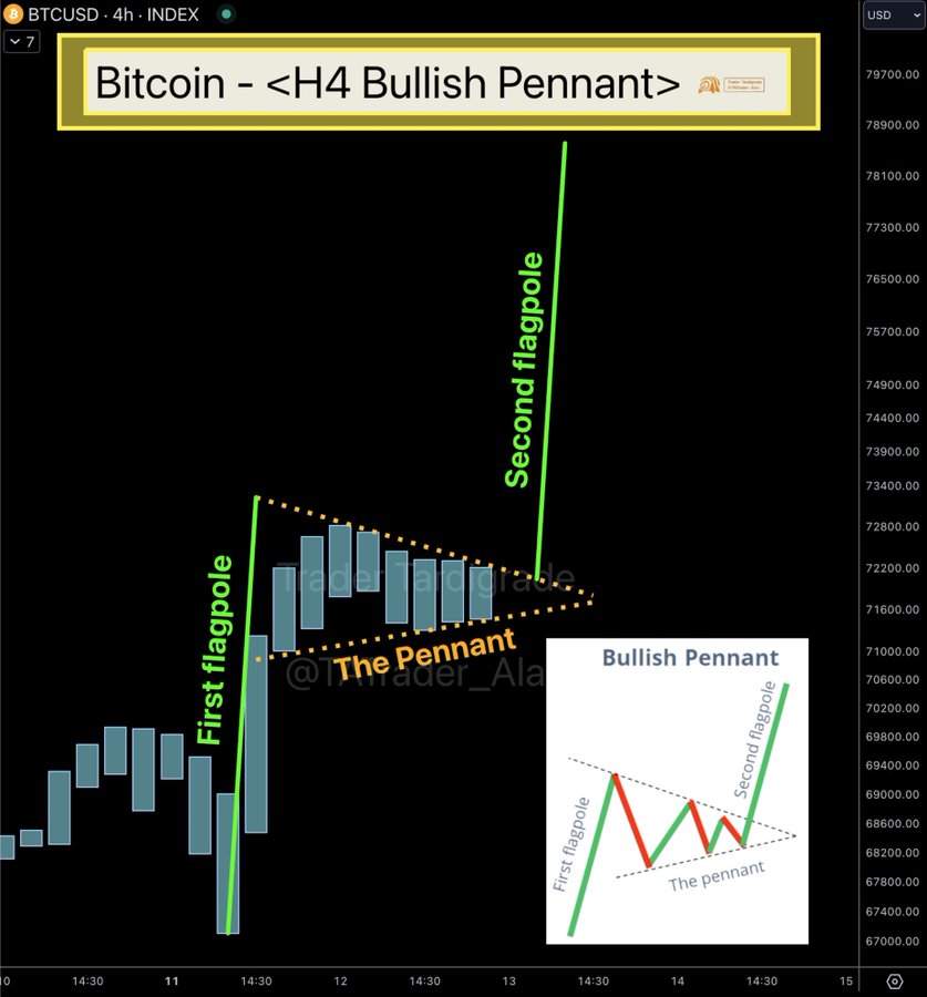 Bitcoin bulls erupt as chart teases explosive surge