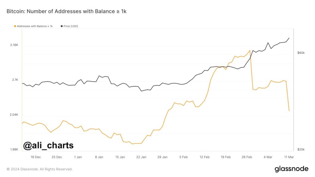 Sell-off alert: Bitcoin whales are ‘increasingly cashing out’