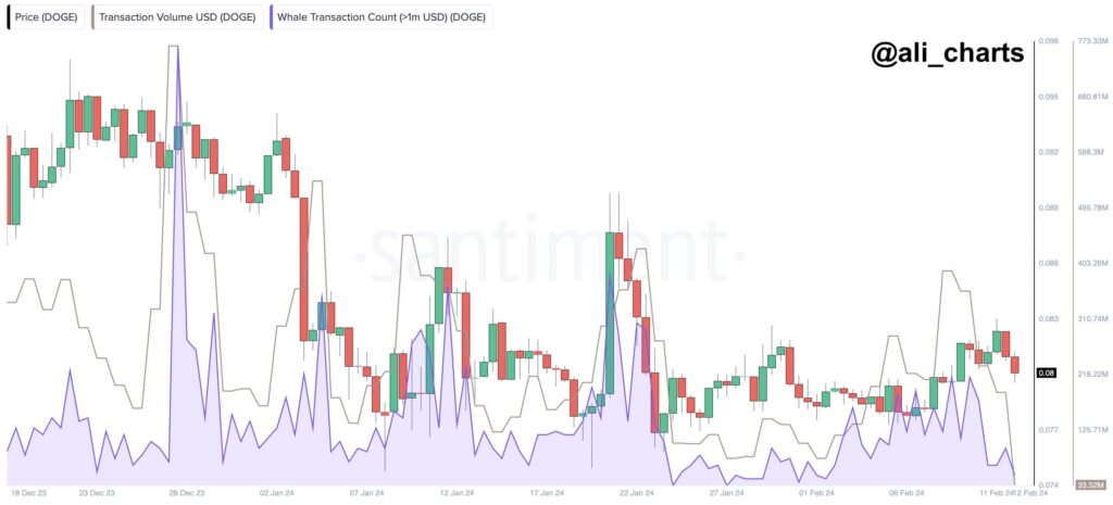 DOGE sell-off alert: Dogecoin could face mega crash