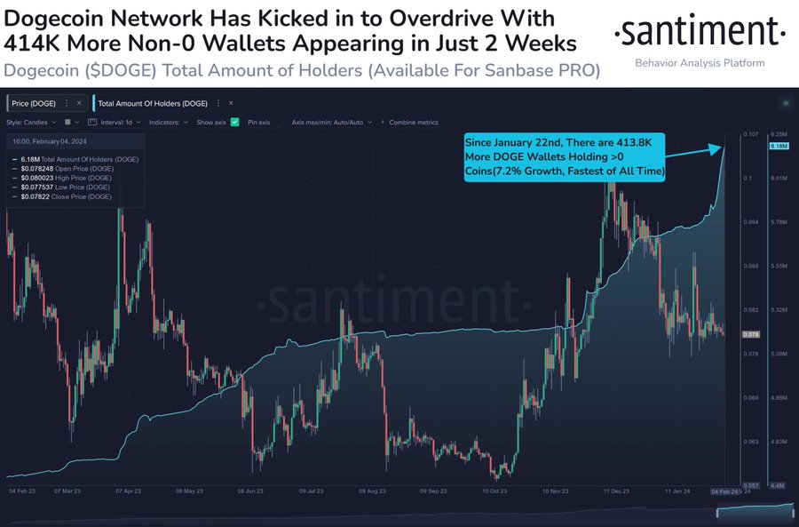 DOGE wallets soar at fastest rate in its history