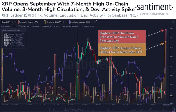 XRP price prediction as it hits 7-month high on-chain volume