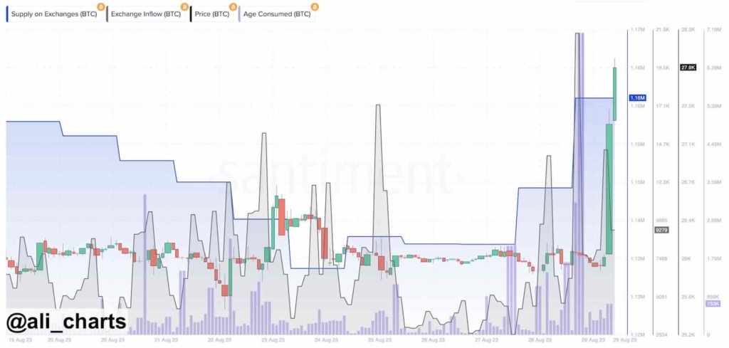 Cryptic clues: Uncovering possible Bitcoin manipulation before Grayscale win